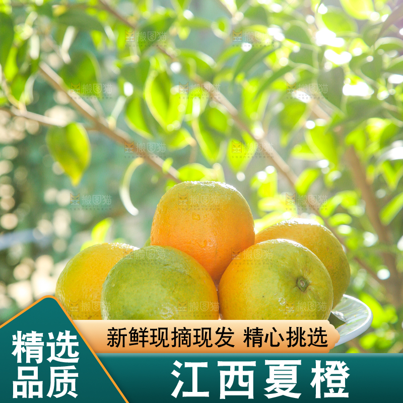 手端一盘夏橙