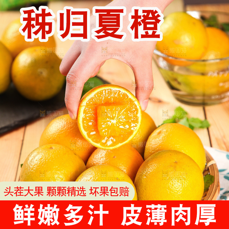 手拿着的秭归夏橙