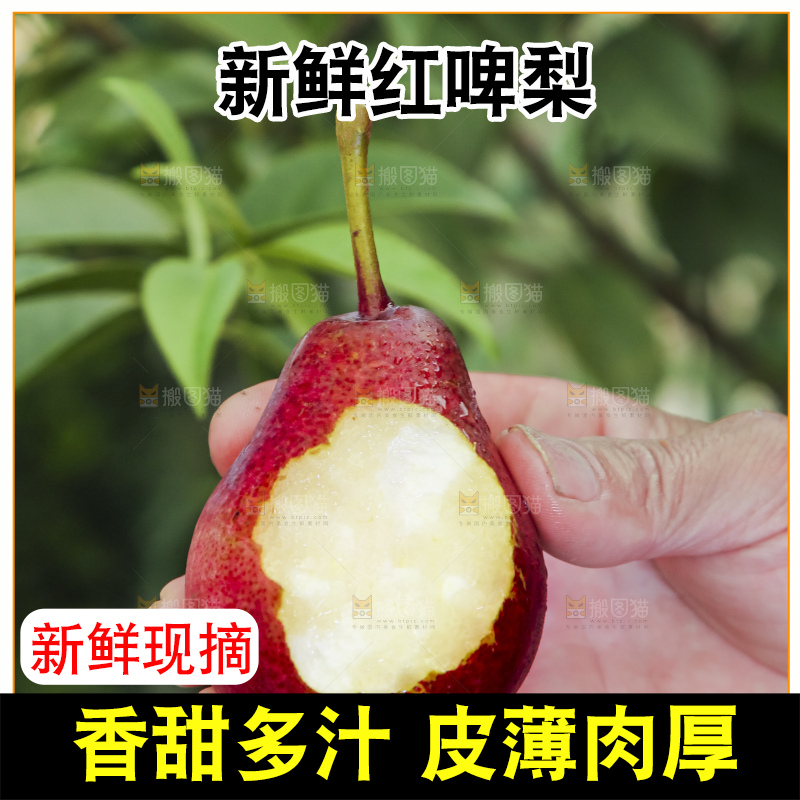 手拿红啤梨