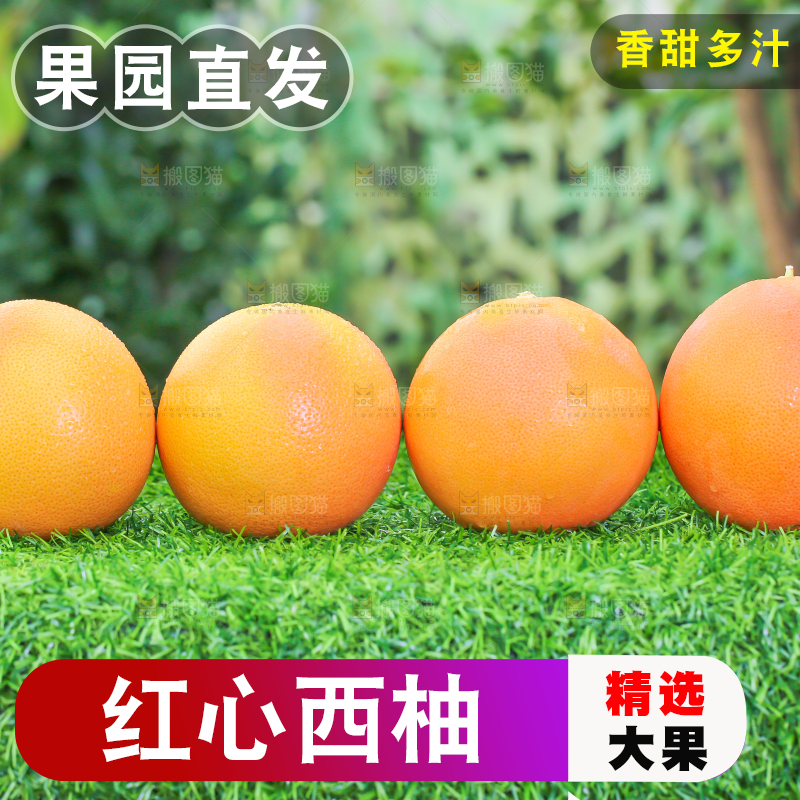 草地上放着红心西柚