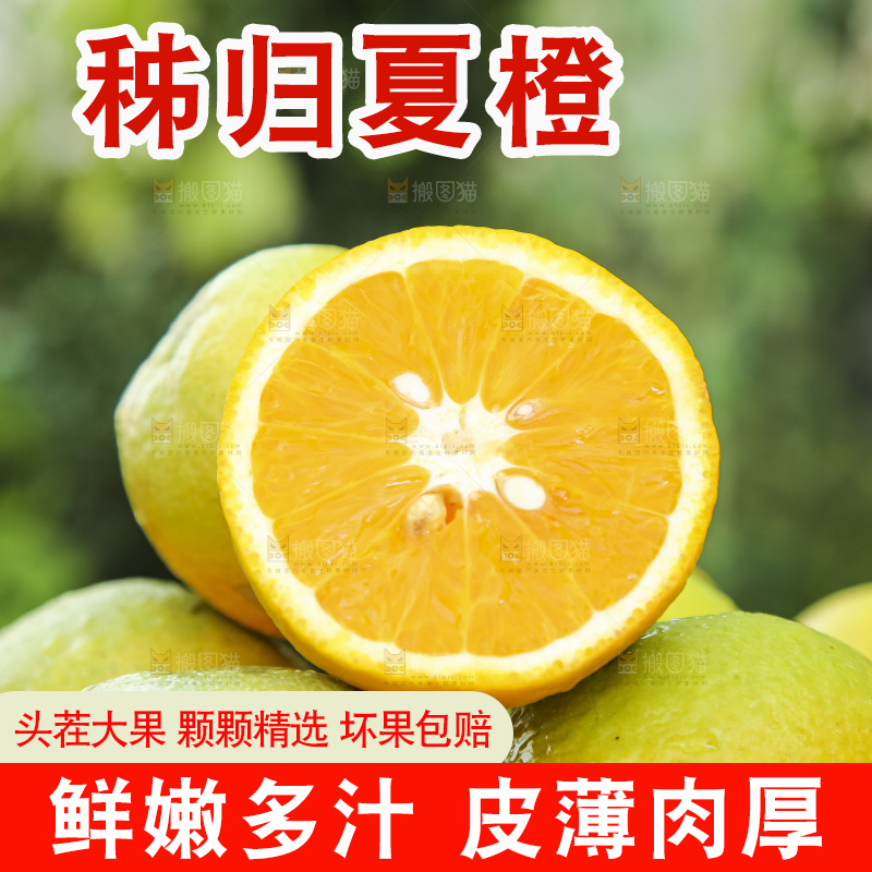 草地上放着一盘切开的秭归夏橙