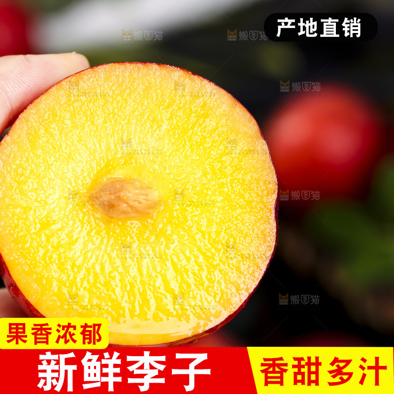 手拿切开的珍珠李