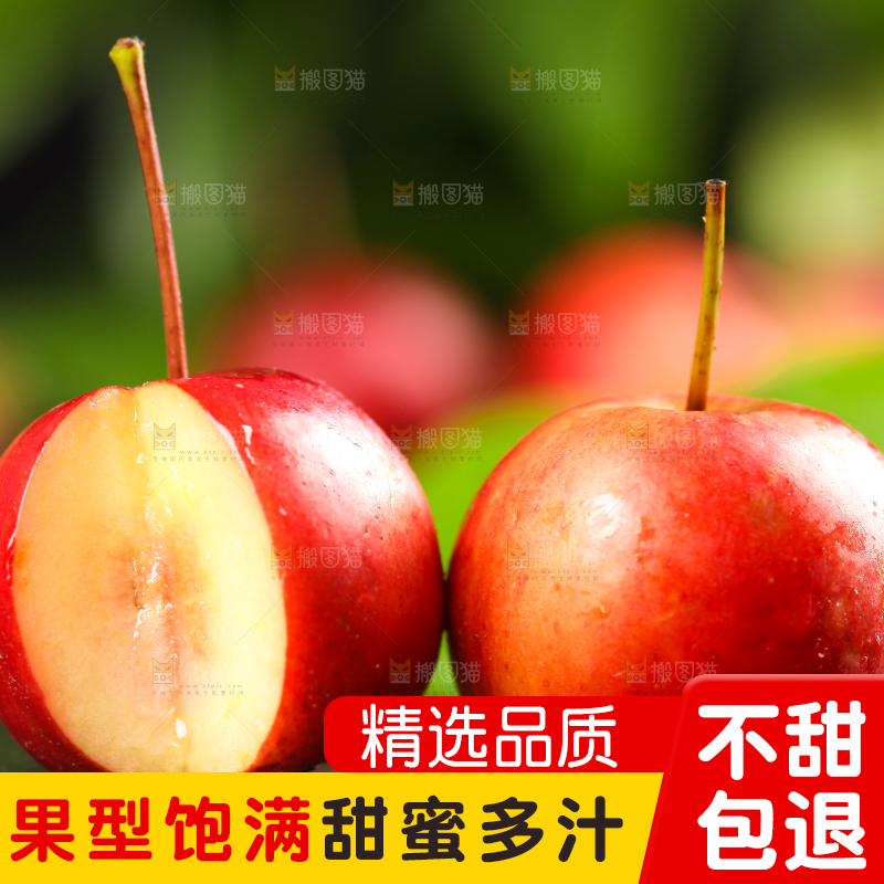 黑石板上的海棠果