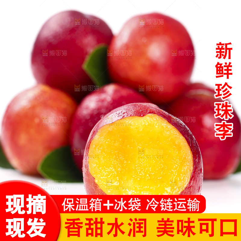 白底上的智利珍珠李