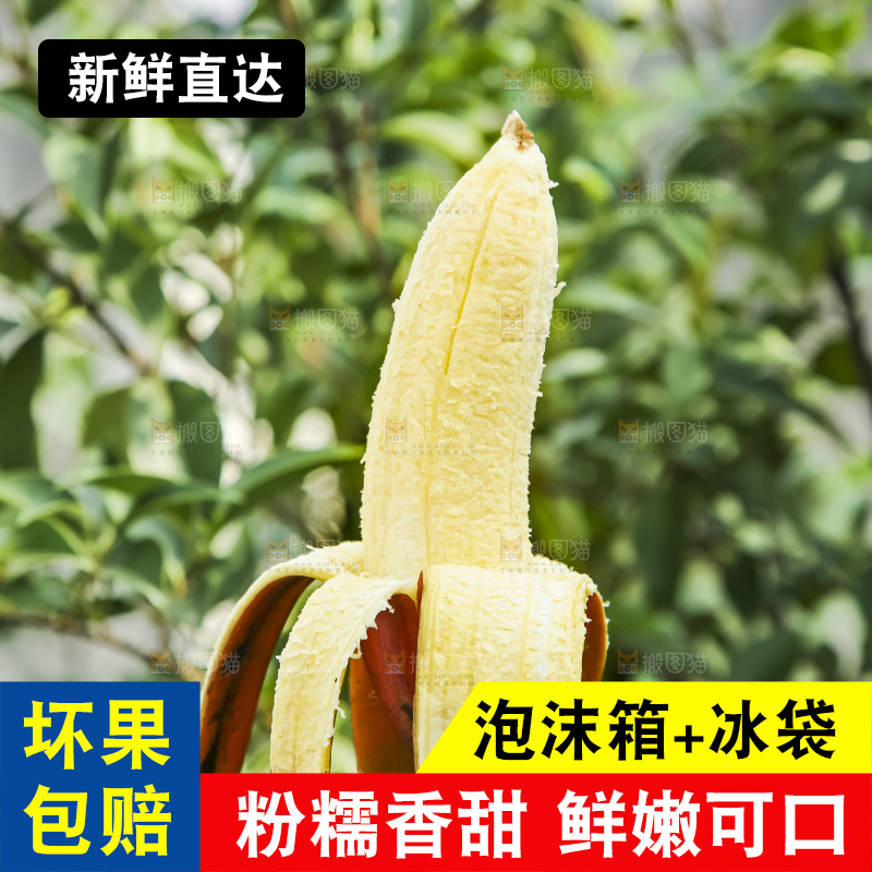 手拿剥皮的红皮香蕉