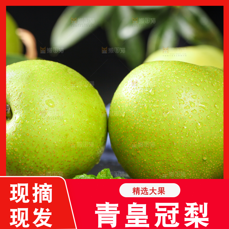 黑底上的青皮皇冠梨
