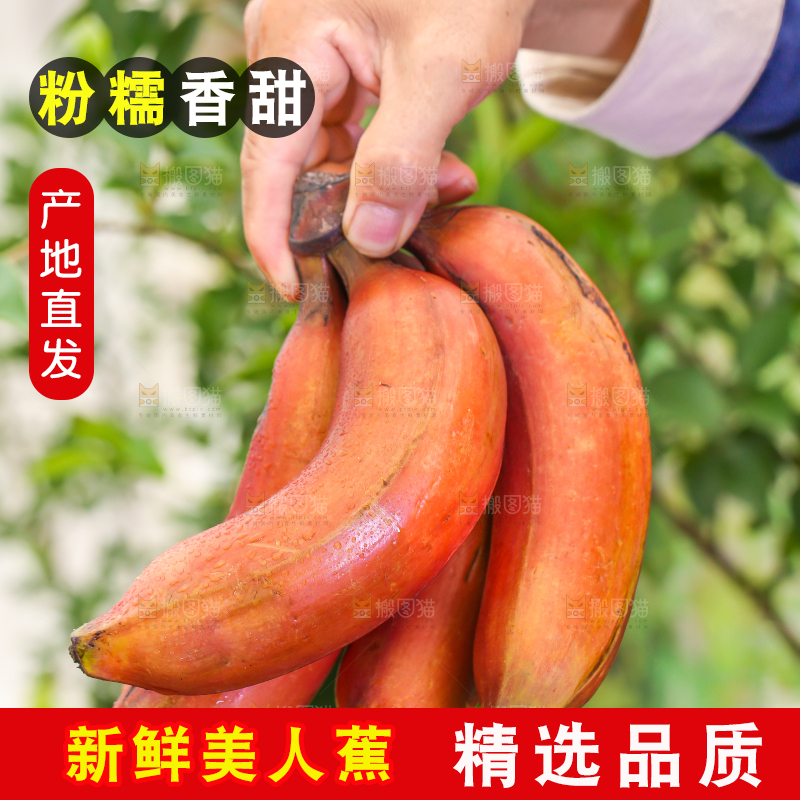 手里拿着一把红皮香蕉