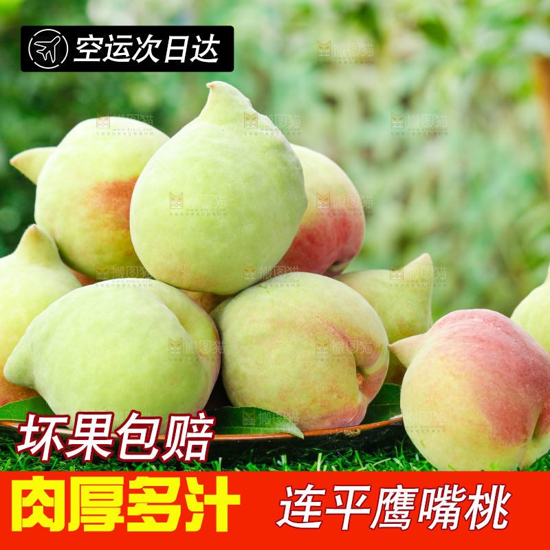 草地上的鹰嘴水蜜桃
