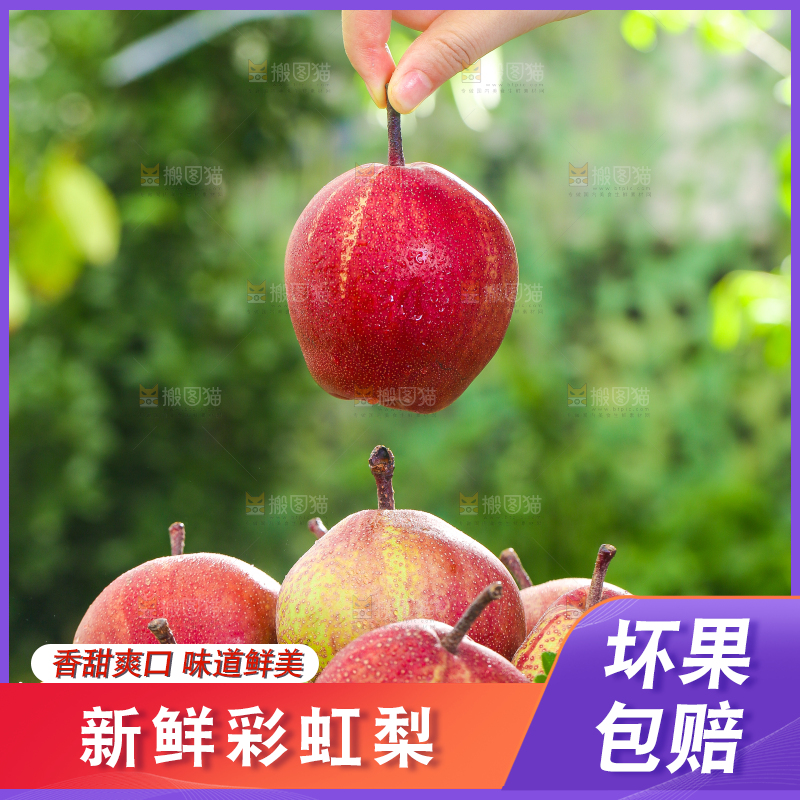 手拿彩虹梨
