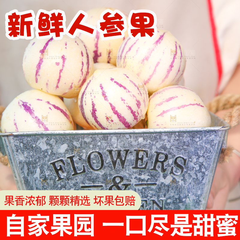 手拿一桶人参果