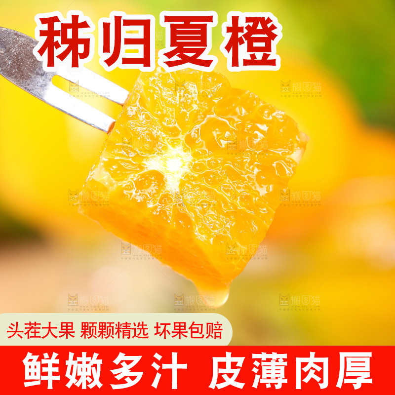 叉子叉着秭归夏橙果肉