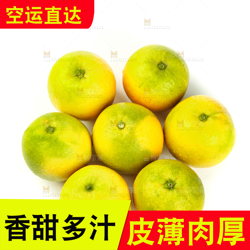 白底上的夏橙