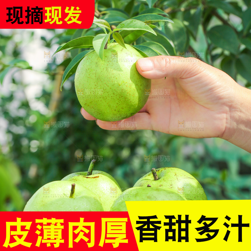 手里端着一盘青皇冠苹果梨