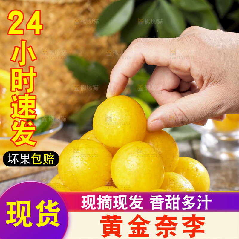 手拿黄金奈李