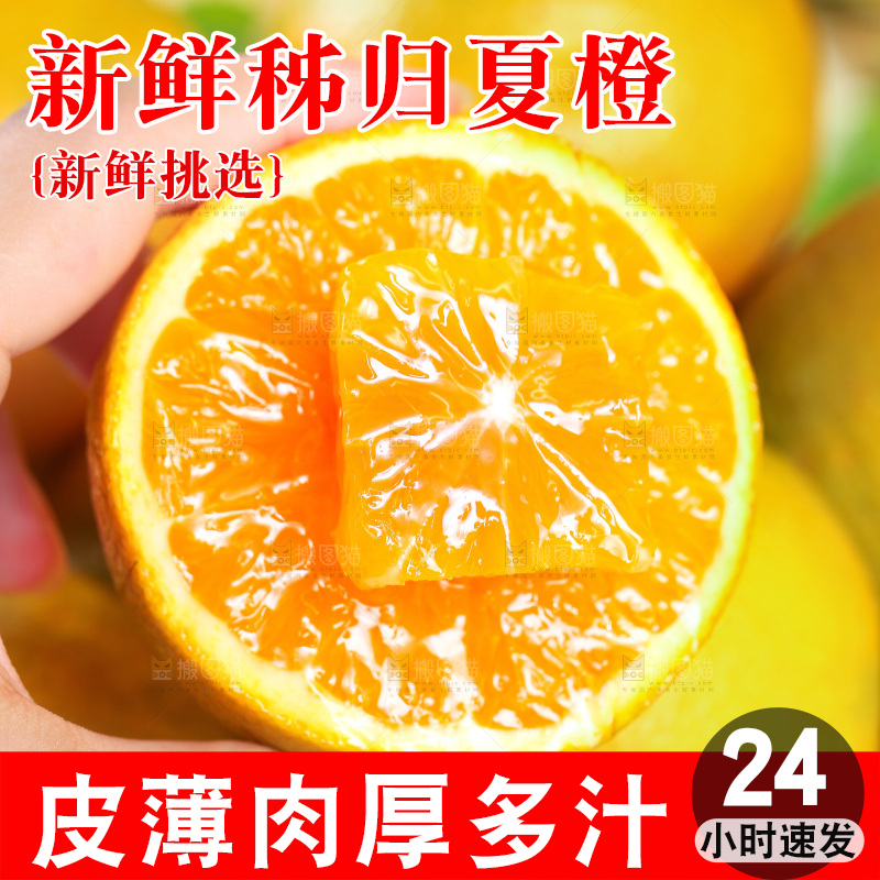 手拿切开的秭归夏橙