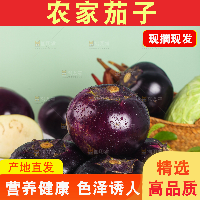 石板上放着一盘紫圆茄子