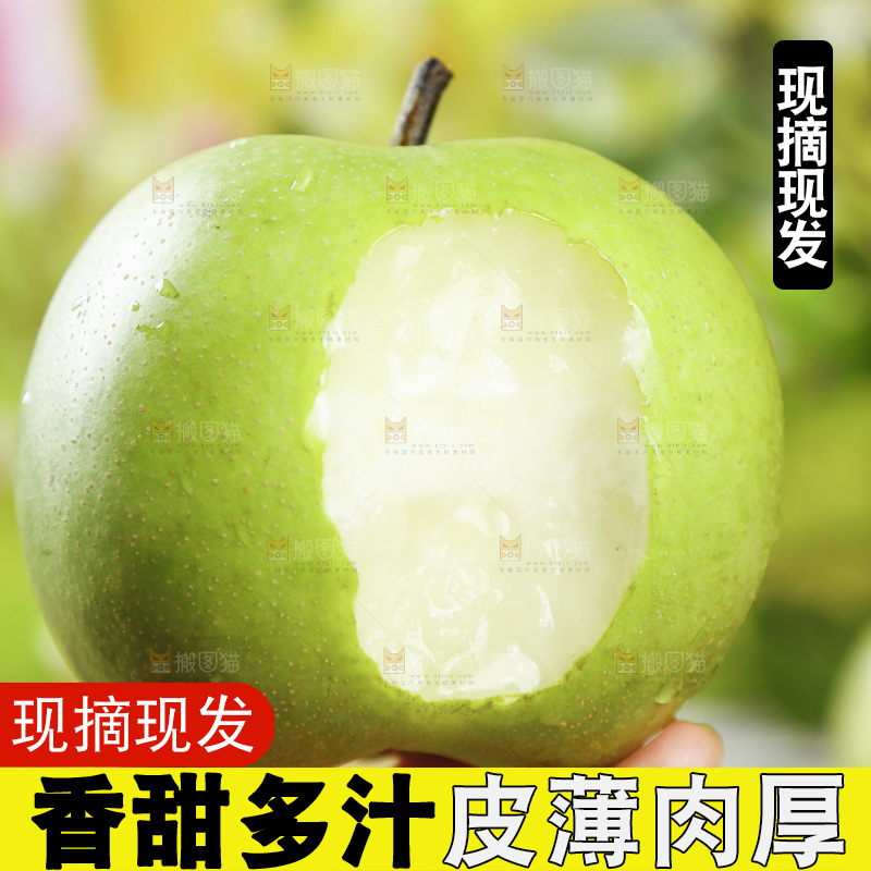 浅底上手拿着一个砀山青梨
