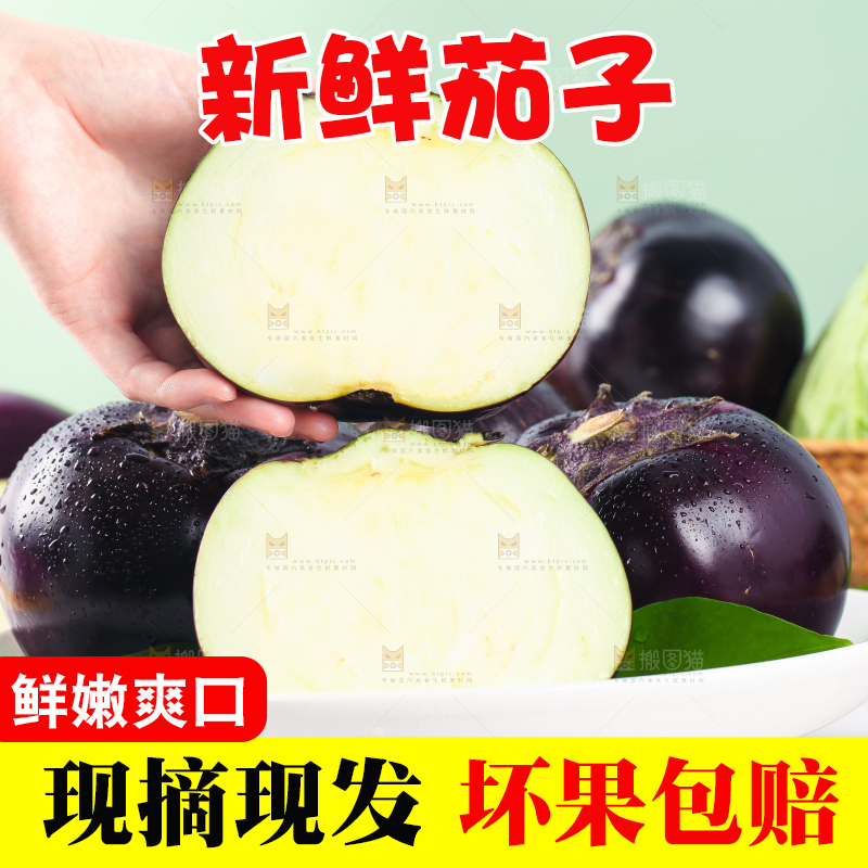 手拿切开的紫圆茄子