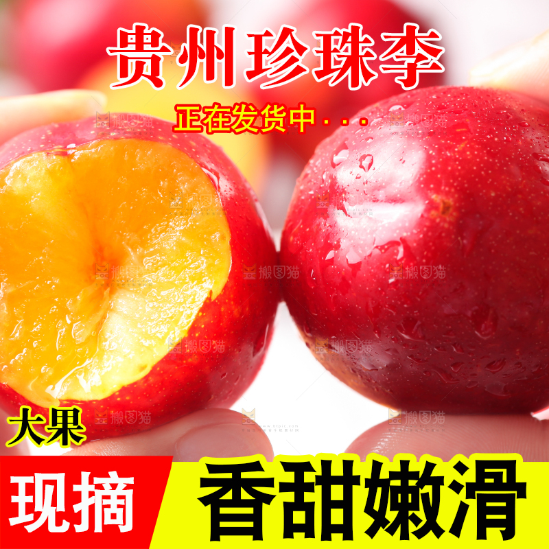 手拿珍珠李