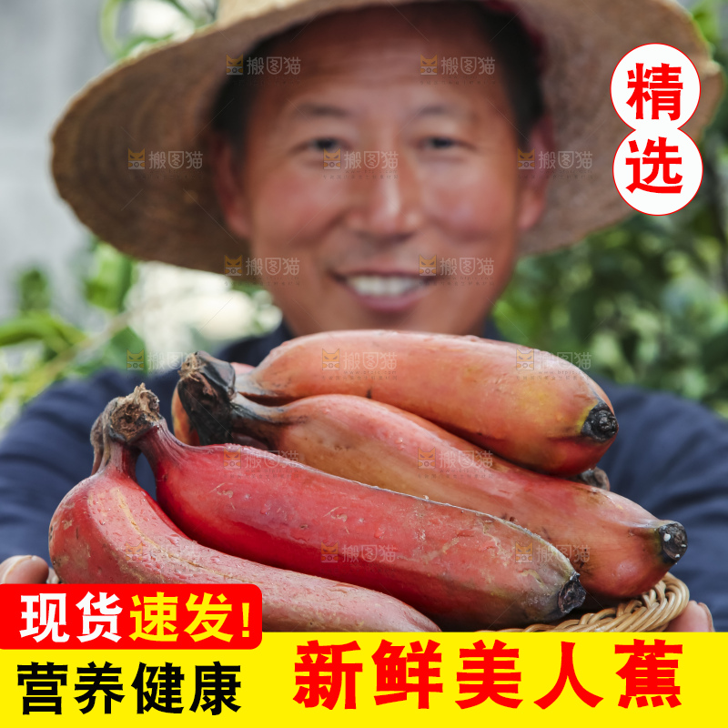 农民手拿一篮红皮香蕉