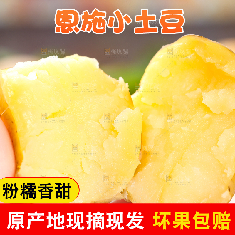手拿黄心熟土豆