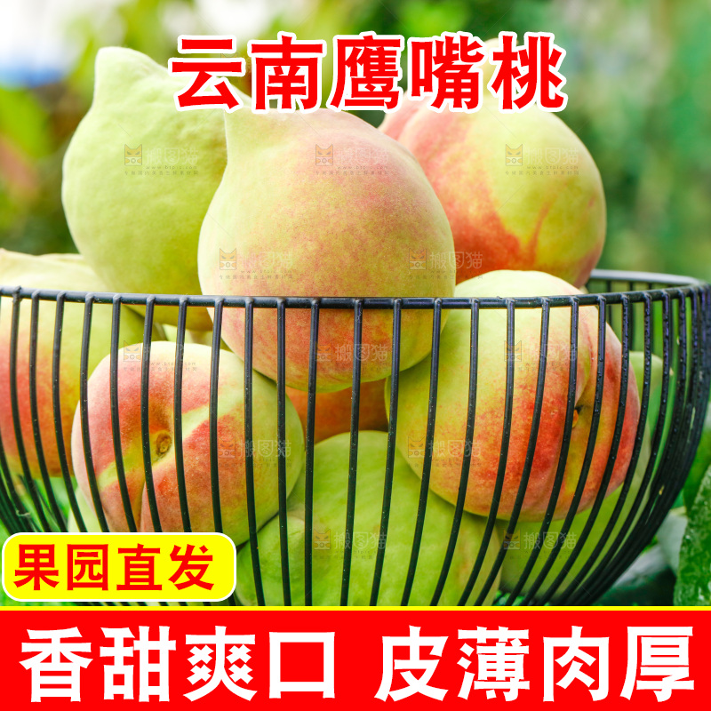 草地上放着鹰嘴水蜜桃