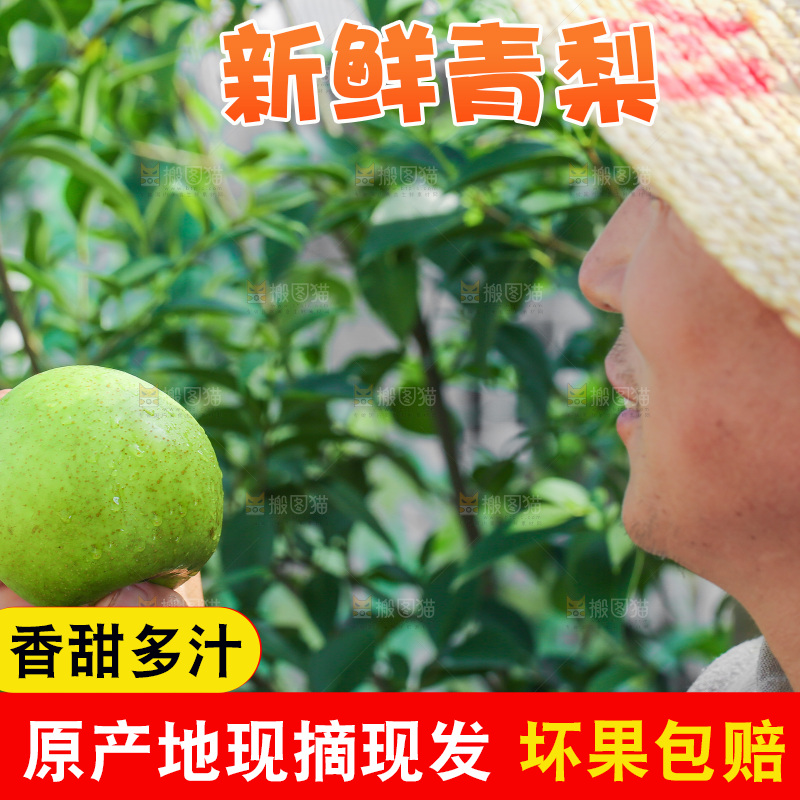 农民手里拿着青皮梨