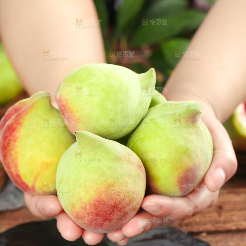 手拿云南鹰嘴水蜜桃