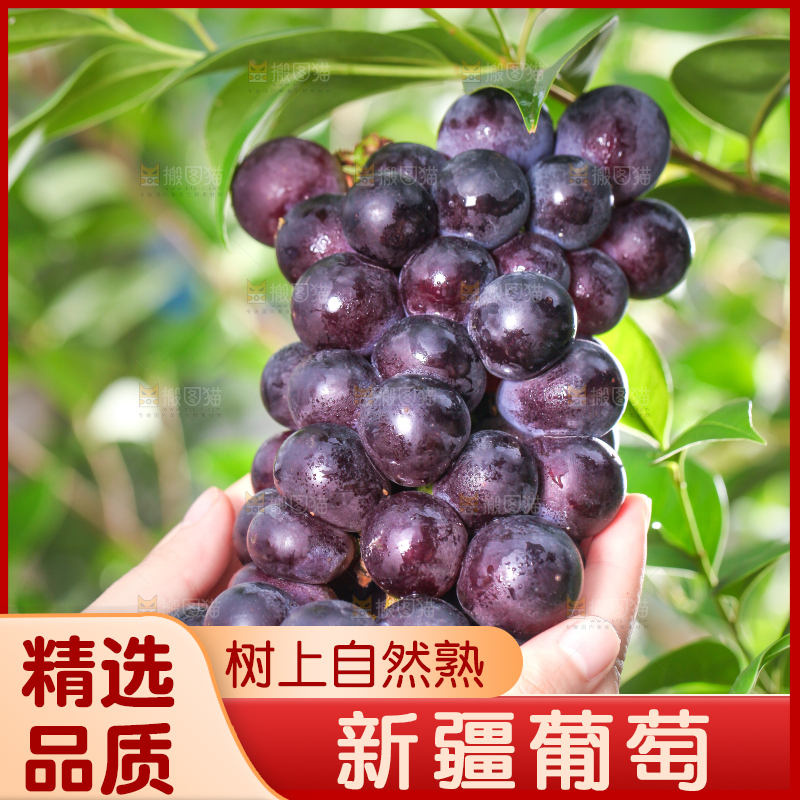 手拿一串新鲜葡萄