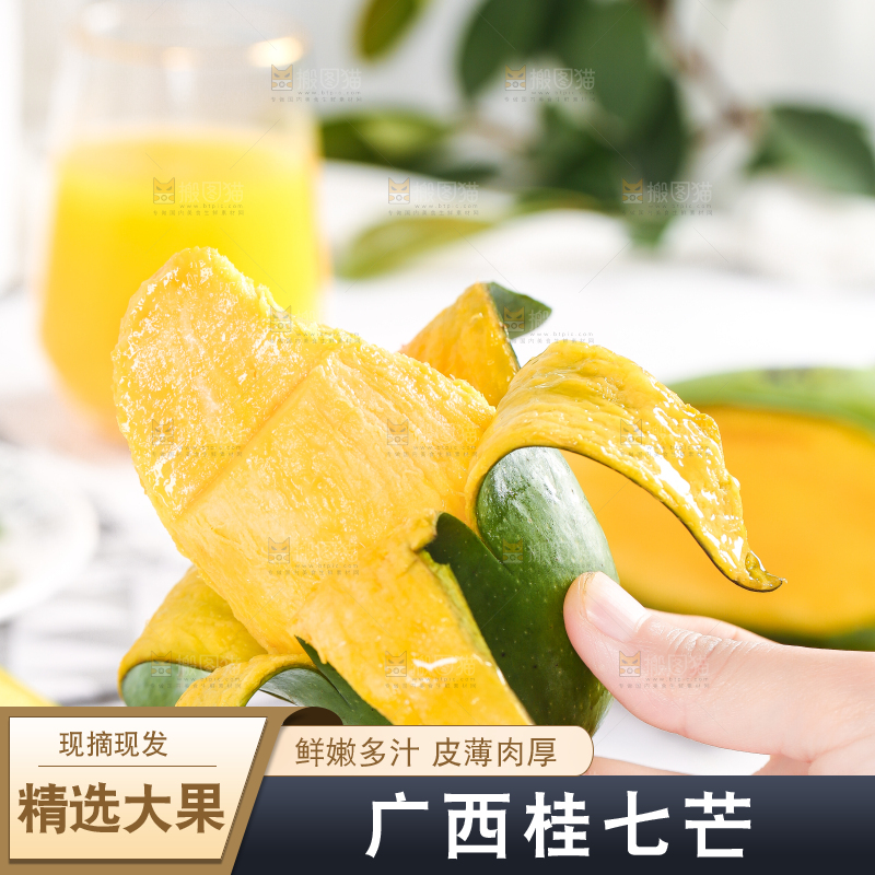 浅底上手拿剥皮的桂七芒