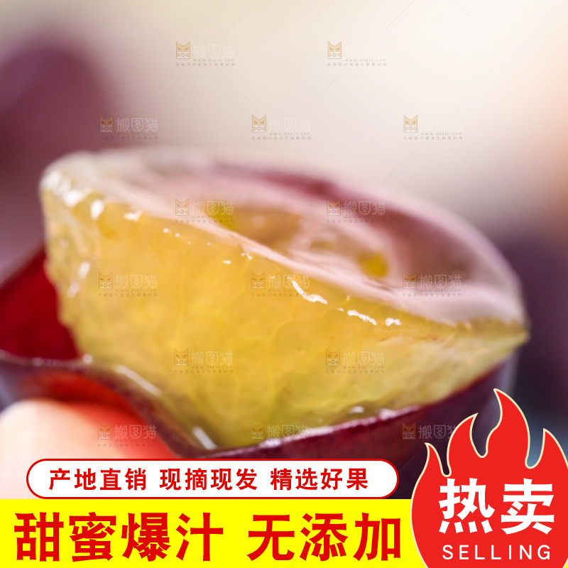 手拿切开的东北巨峰葡萄