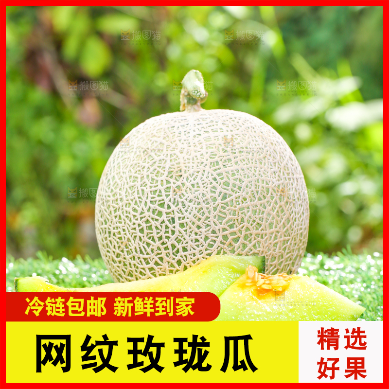 草地上放着切开的网纹蜜瓜