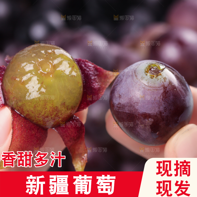 手拿剥皮的巨峰葡萄