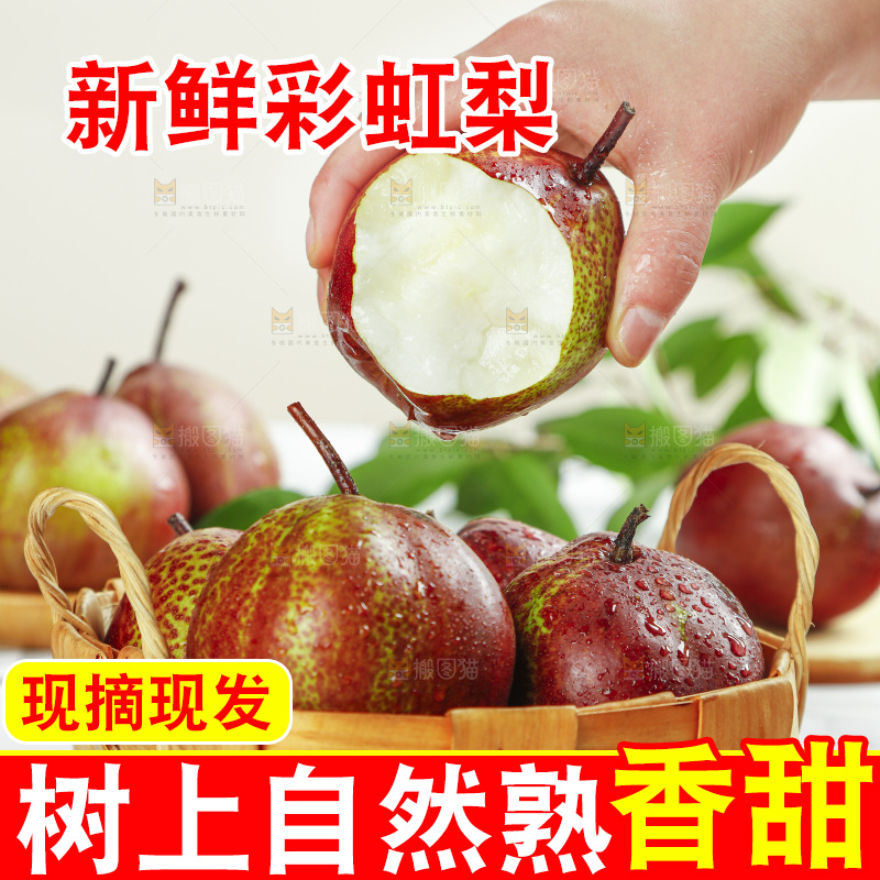浅底上的陕西彩虹梨