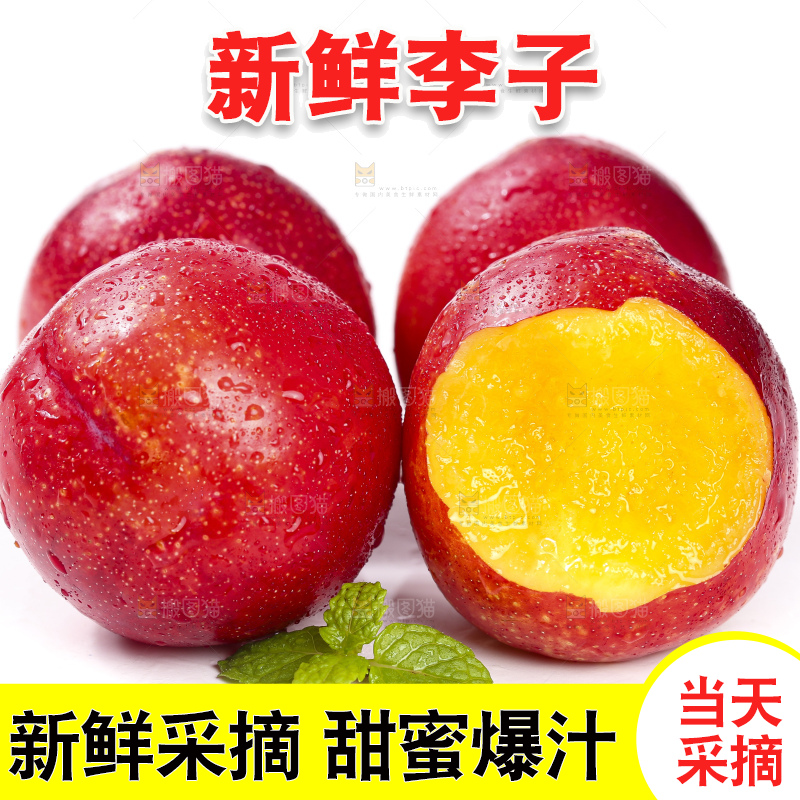 白底上的智利珍珠李