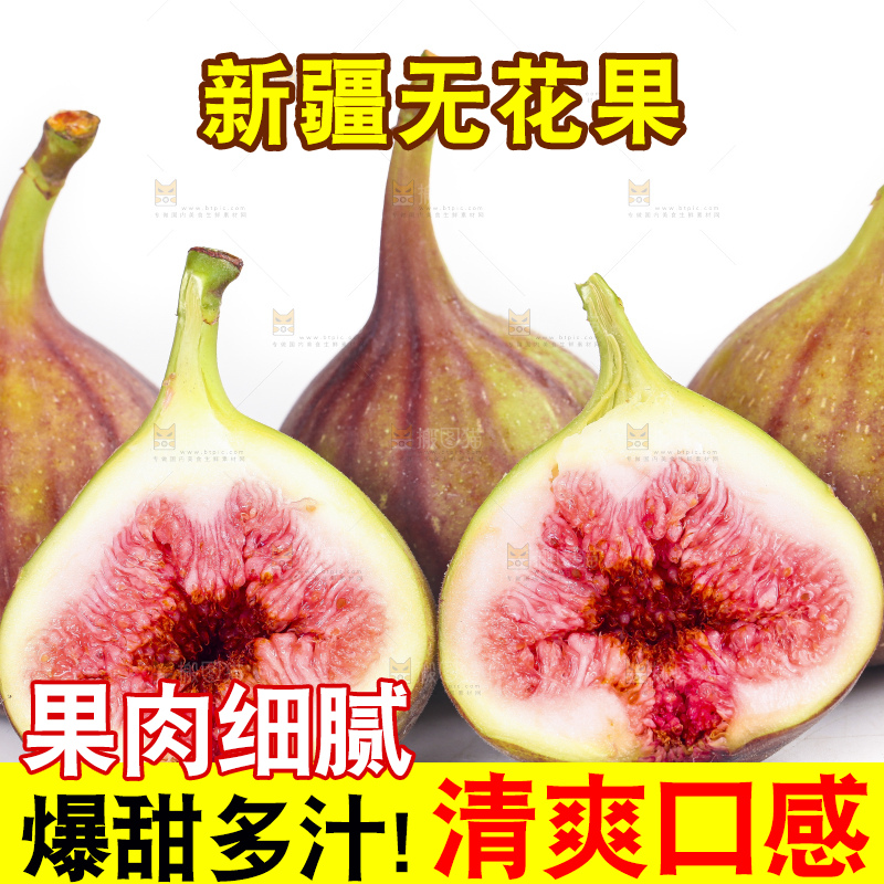 白底上的紫皮无花果