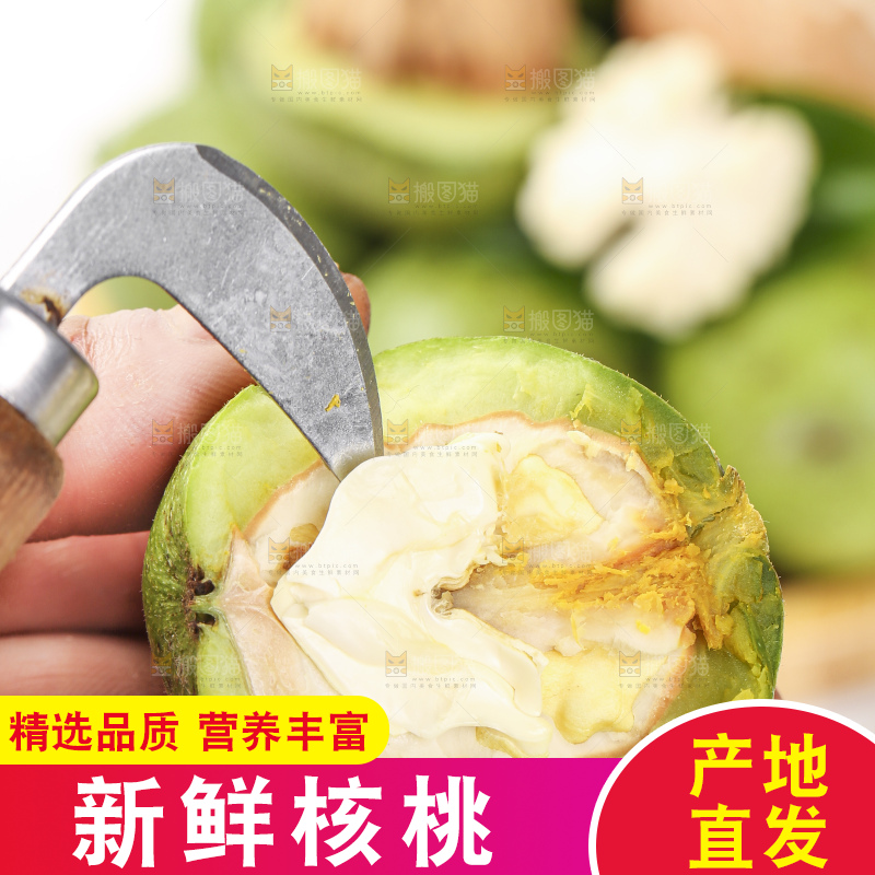 手拿青皮核桃