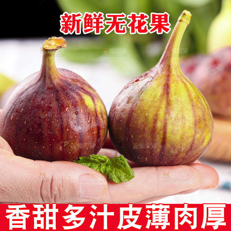 手拿紫皮无花果