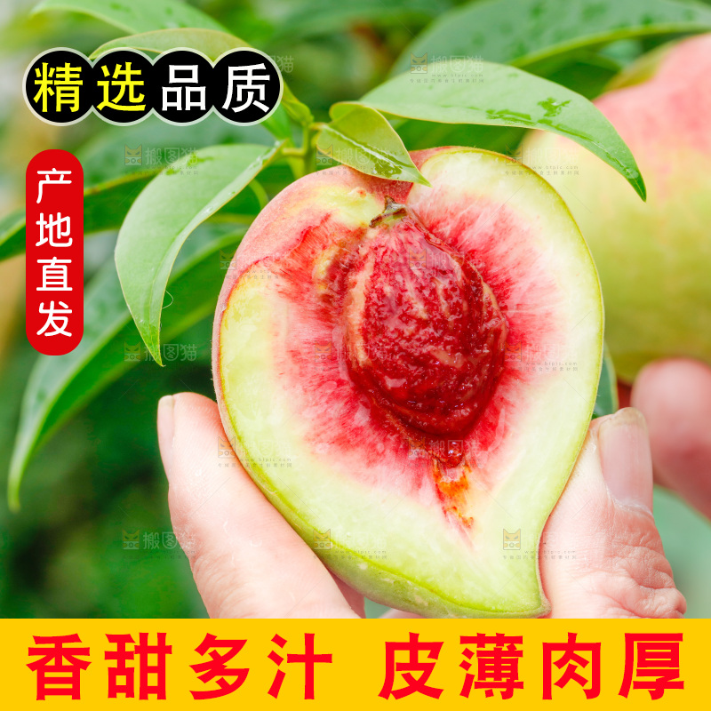 手拿云南鹰嘴黑美人桃子