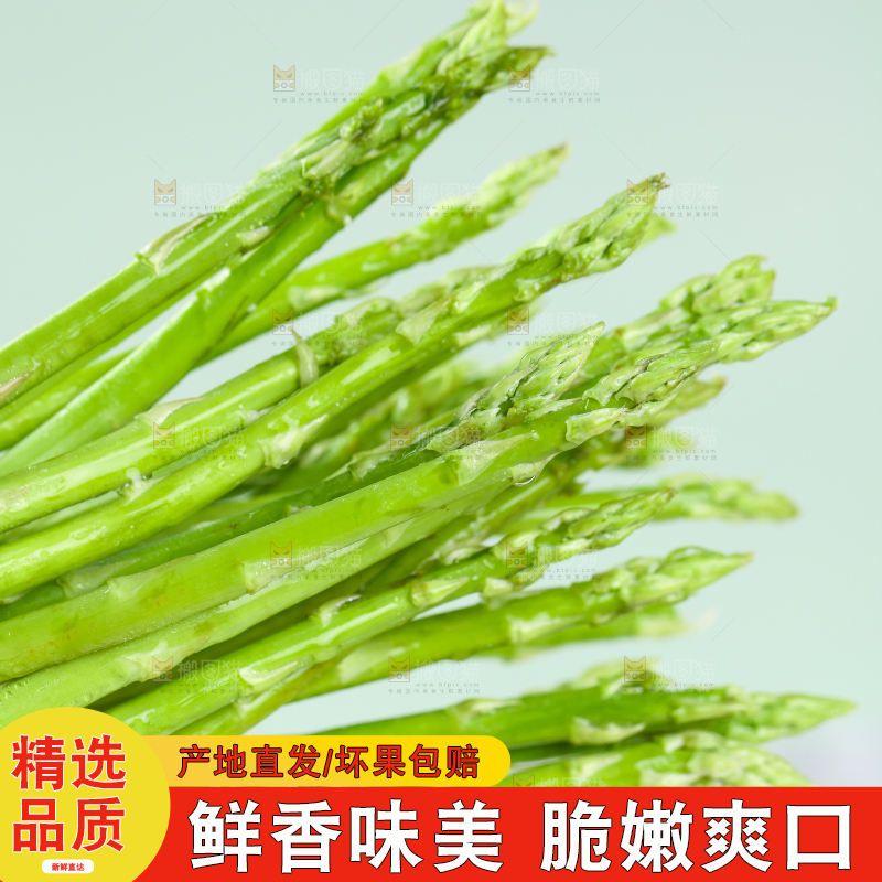 浅底上的青芦笋