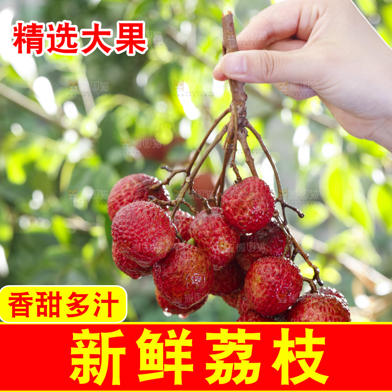 手拿荔枝