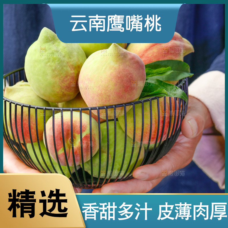 手拿云南鹰嘴黑美人桃子