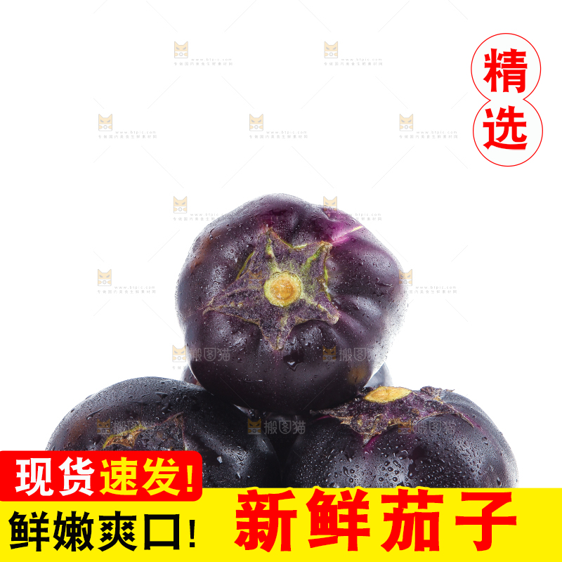 白底上的紫皮圆茄子