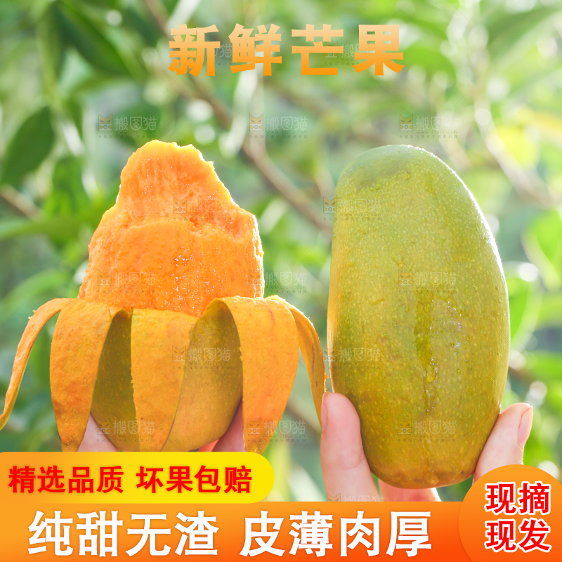 手拿剥皮的椰香芒