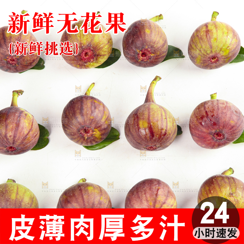 白底上的无花果