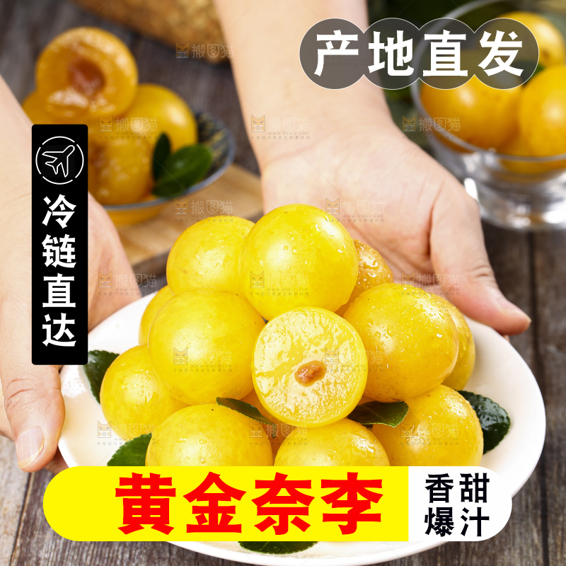 手拿黄金奈李
