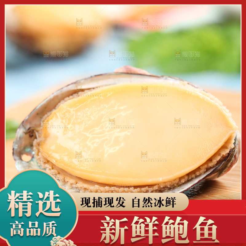 木底上放着鲜冻鲍鱼
