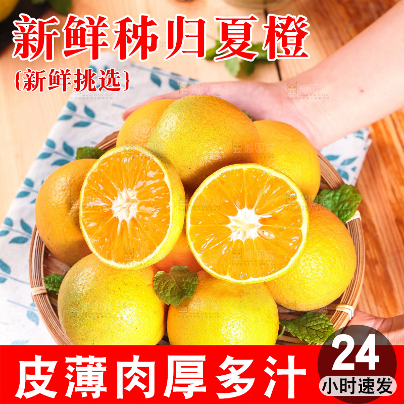 手端一盘秭归夏橙