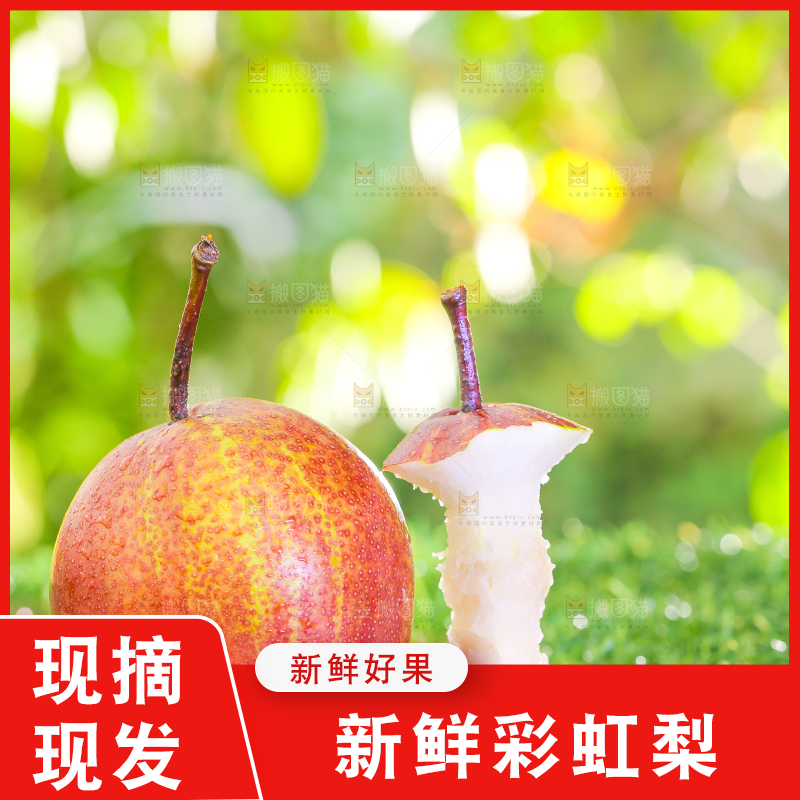 草地上放着彩虹梨果核
