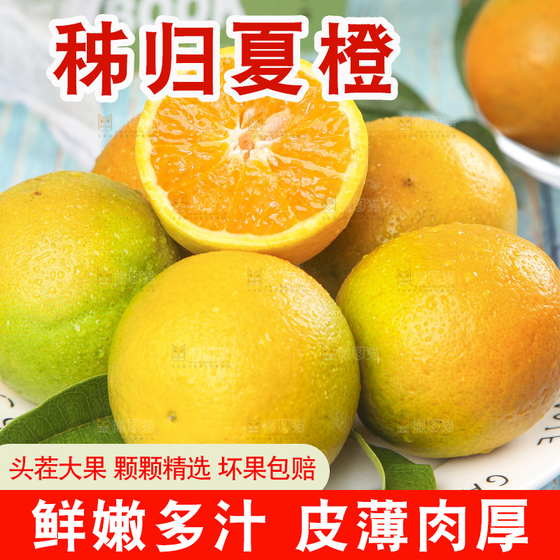 蓝底上放着一盘切开的夏橙